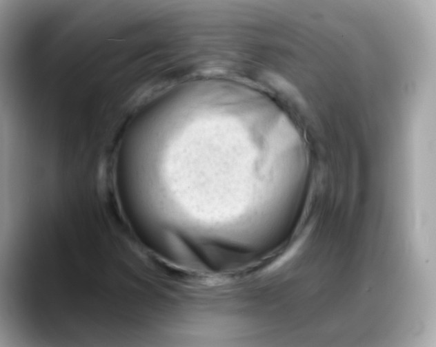 X0000088041353200706011316