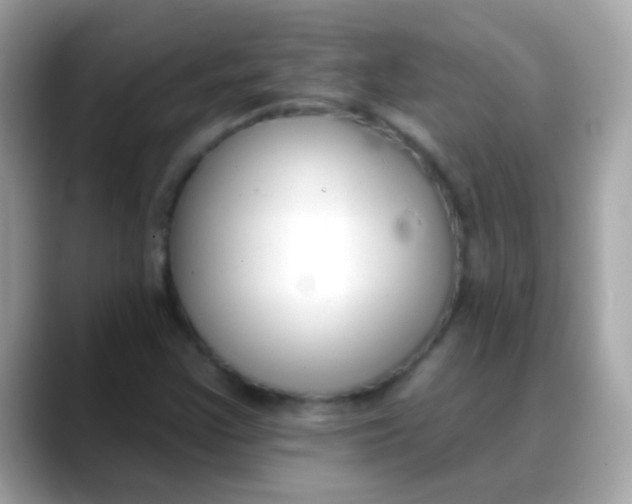 X0000088041355200706011316