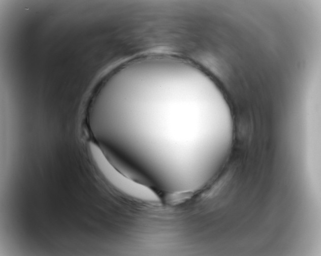 X0000088041356200706011316