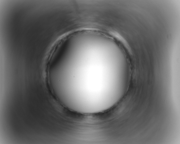 X0000088041360200706011316