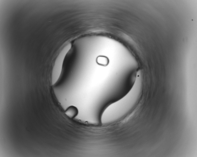 X0000088041361200706011316