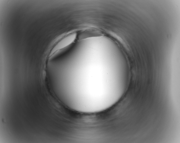 X0000088041363200706011316