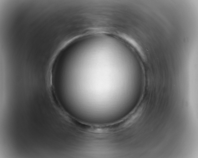 X0000088041365200706011316