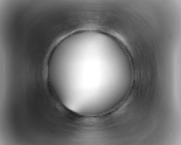 X0000088041366200706011316