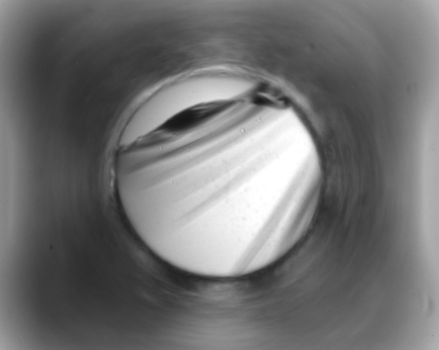 X0000088041367200706011316