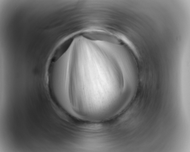 X0000088041372200706011316