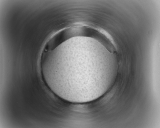 X0000088041373200706011316