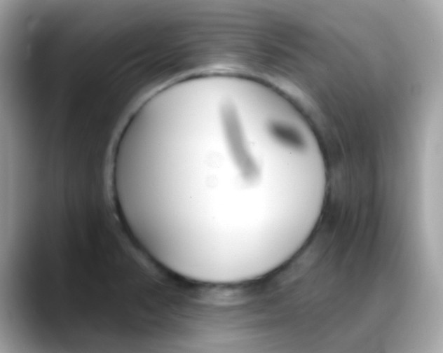 X0000088041374200706011316