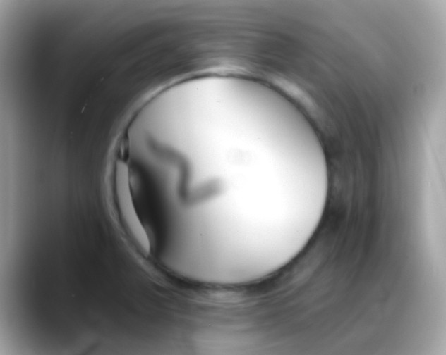 X0000088041375200706011316