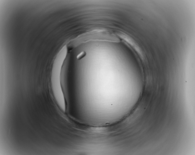 X0000088041377200706011316