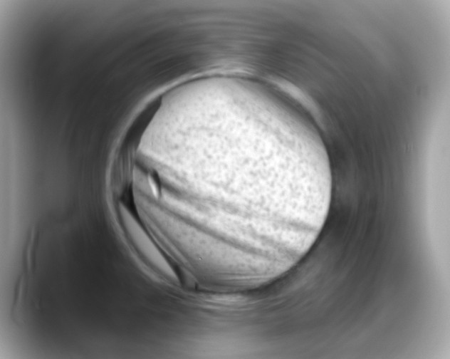 X0000088041383200706011316