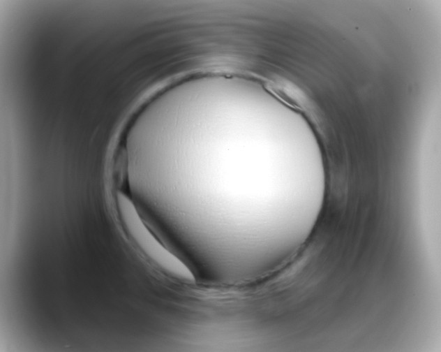 X0000088041384200706011316