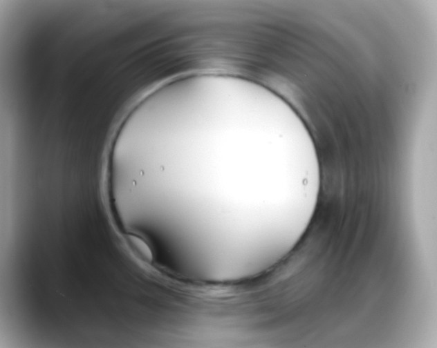 X0000088041387200706011316