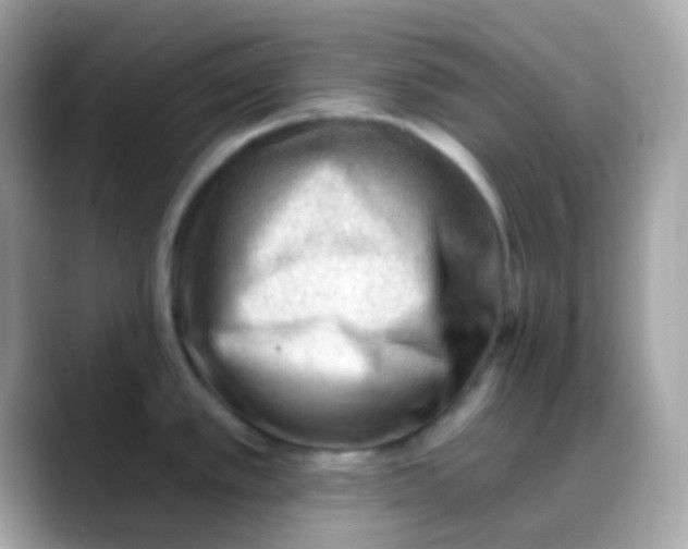 X0000088041389200706011316