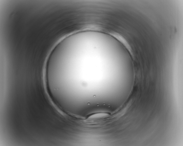 X0000088041391200706011316