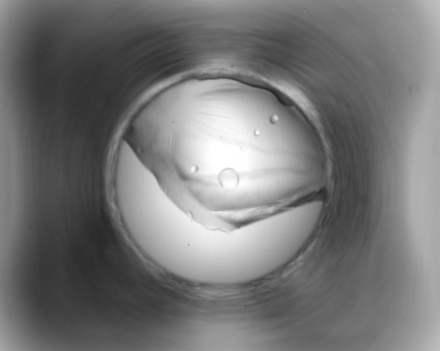 X0000088041392200706011316