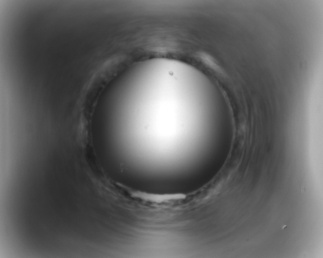 X0000088041398200706011315