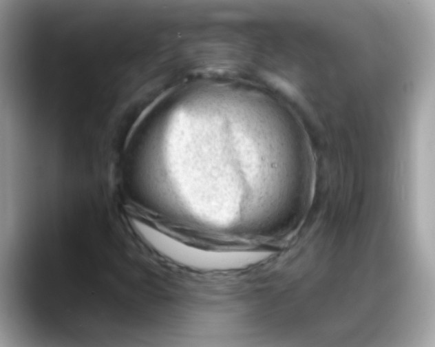 X0000088041399200706011315