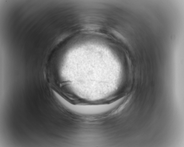 X0000088041401200706011315