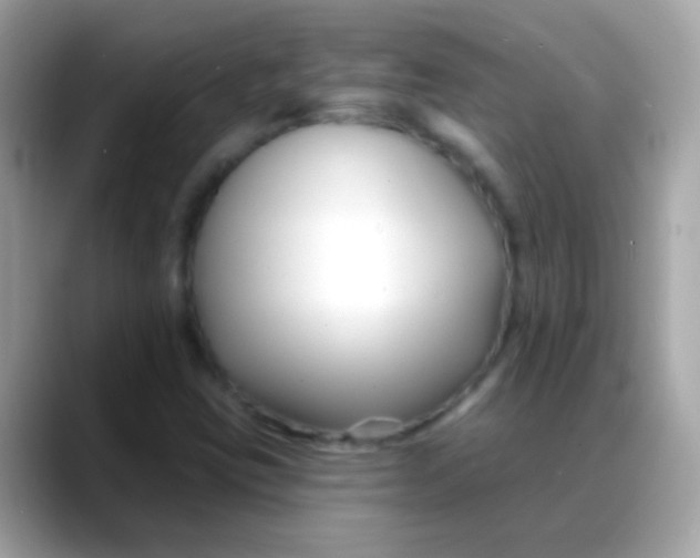 X0000088041403200706011315