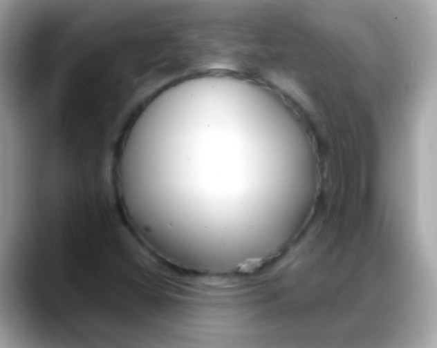 X0000088041404200706011315