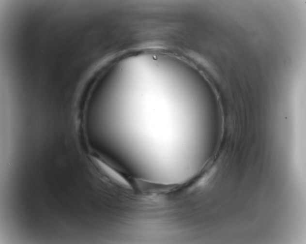 X0000088041406200706011315