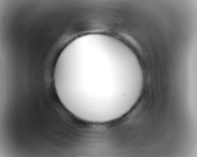 X0000088041407200706011315