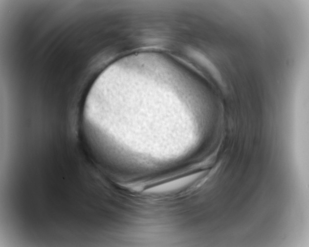 X0000088041411200706011315