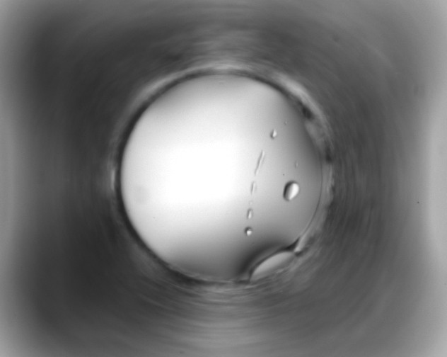 X0000088041416200706011315