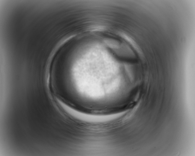 X0000088041418200706011315