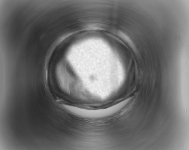 X0000088041419200706011315