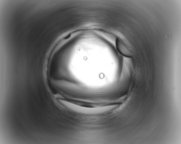 X0000088041421200706011316