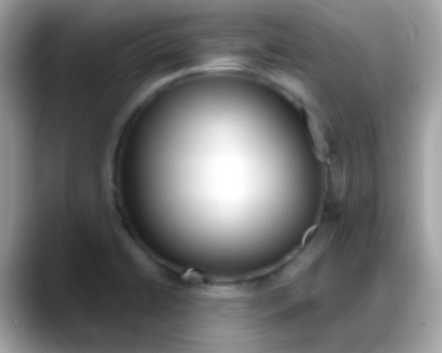 X0000088041422200706011316