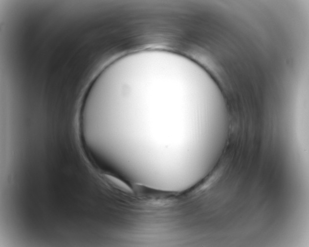 X0000088041423200706011316