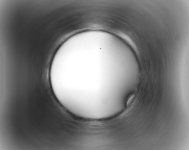 X0000088041424200706011316