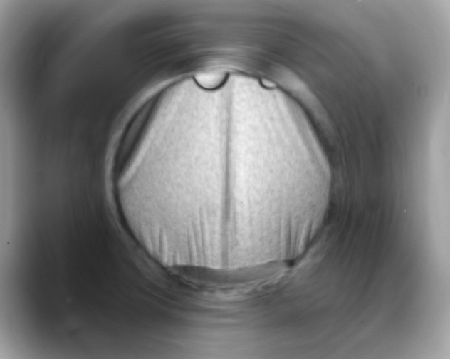 X0000088041427200706011316