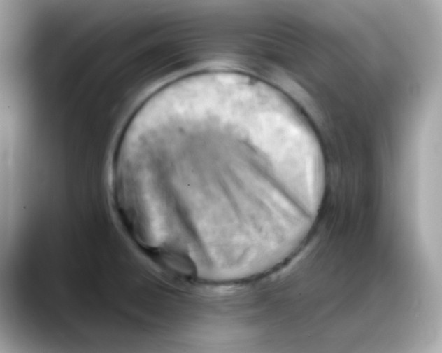 X0000088041428200706011316