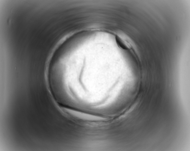 X0000088041429200706011316