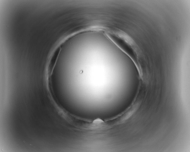 X0000088041430200706011316