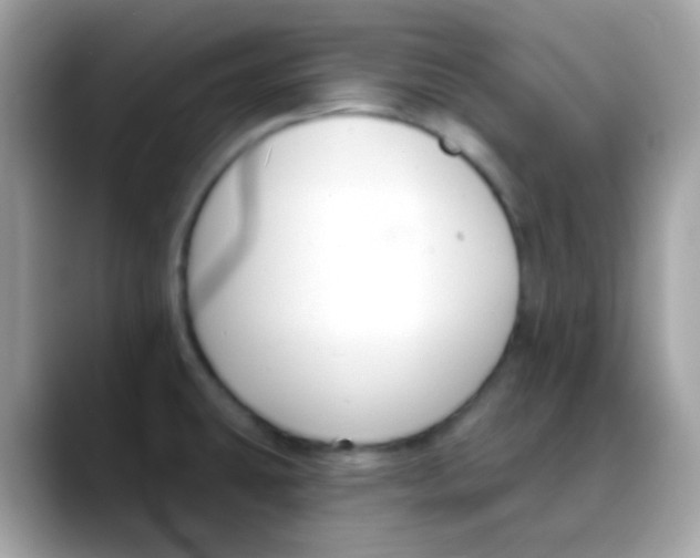 X0000088041431200706011316