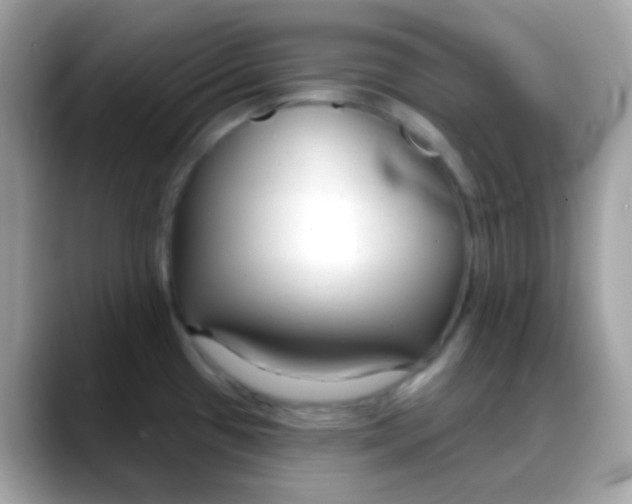 X0000088041433200706011316