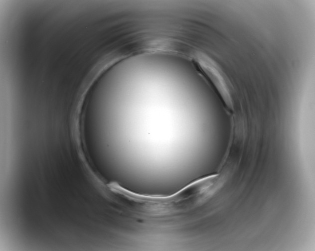 X0000088041434200706011316