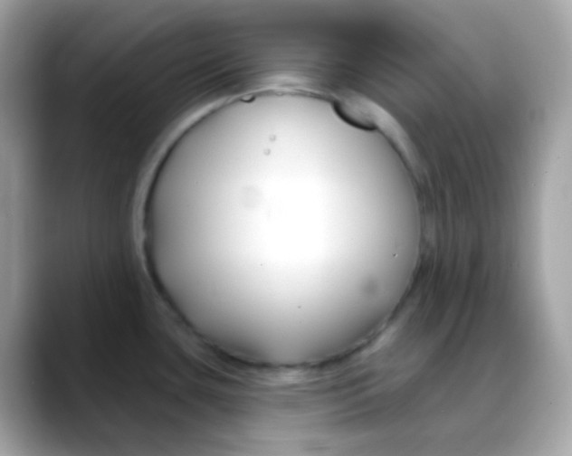 X0000088041435200706011316