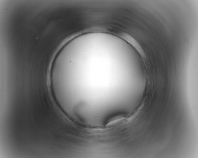 X0000088041436200706011316