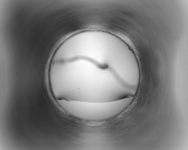 X0000088041440200706011316