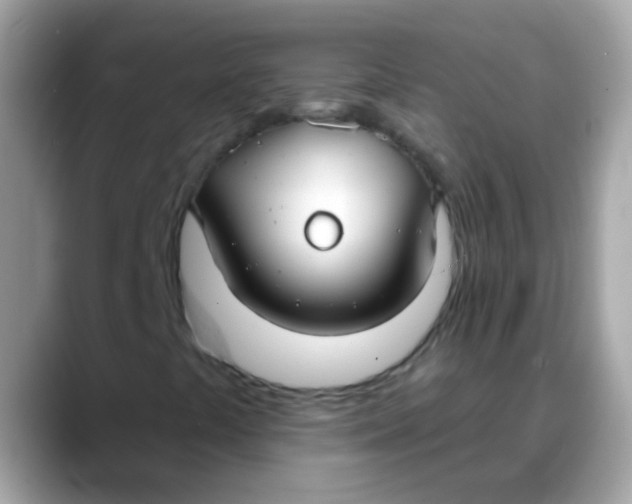 X0000088041441200706011315