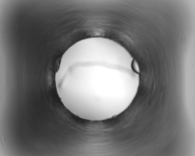 X0000088041442200706011315