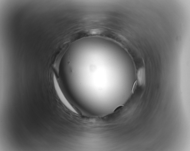 X0000088041443200706011315