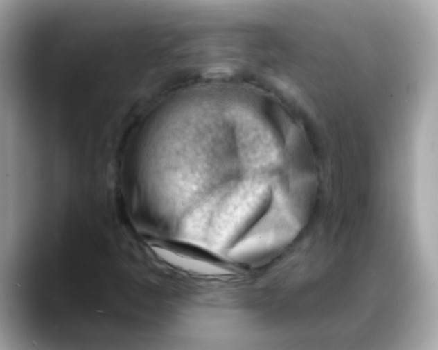 X0000088041445200706011315