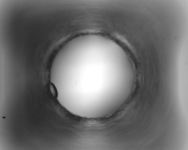 X0000088041448200706011315